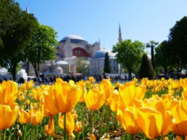 Hagia Sophia vor voller Blütenpracht.